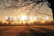 梦见几只猫抱鱼吃了一条;梦见猫把活鱼吃了
