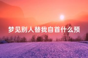 梦见别人替我自首什么预兆-梦见别人替我受罚