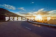 梦见凌晨出门找东西、梦见去找东西然后迷路了