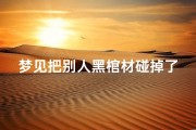 梦见把别人黑棺材碰掉了啥意思(梦见把别人黑棺材碰掉了啥意思呀)