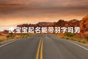 虎宝宝起名能带羽字吗男孩,男宝带羽的名字