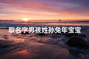 取名字男孩姓孙兔年宝宝,孙姓兔年宝宝，吉祥如意好名字