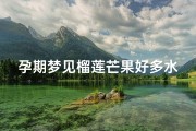 孕期梦见榴莲芒果好多水果、孕妇梦见榴莲和芒果