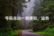 号码吉凶一测便知，运势揭秘