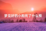 梦见好的小狗死了什么预兆-梦见好的小狗死了什么预兆呢
