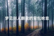 梦见别人翻我的背包啥意思;梦见别人翻自己的包是什么预示