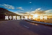属牛男智斗属龙女，爱情攻防战