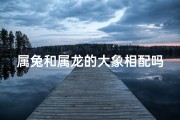 属兔和属龙的大象相配吗好吗;《兔龙大象缘：奇妙的生肖组合之谜》