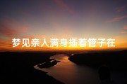 梦见亲人满身插着管子在医院-梦见亲人进了医院