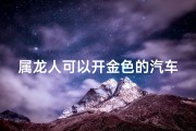 属龙人可以开金色的汽车吗_属龙人开金色汽车：财运亨通，吉祥如意
