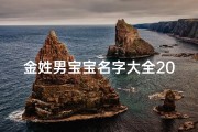 金姓男宝宝名字大全2022属虎