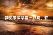 梦见亲戚拿着一只鸡、梦见亲戚送鸡来我家