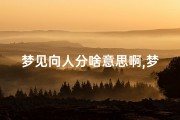 梦见向人分啥意思啊,梦见给别人分香