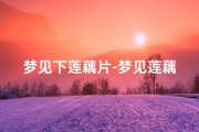 梦见下莲藕片-梦见莲藕片和土豆块什么意思