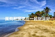 属狗和属龙在一起财运好吗