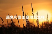 属兔和属龙做朋友怎样_属兔人和属龙人合作怎么化解