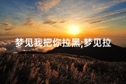 梦见我把你拉黑;梦见拉黑被解除了