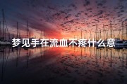 梦见手在流血不疼什么意思-梦见手流血又止住了