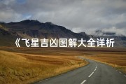 《飞星吉凶图解大全详析指南》