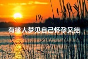 有缘人梦见自己怀孕又结婚了;梦见自己怀孕了又结婚了