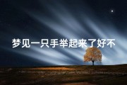 梦见一只手举起来了好不好(能到一只手)