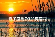 双子座男2021有官司吗(双子座男2021年会离婚吗)