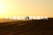 十二星座大写符号图片大全(按星区划分全天共有多少个星座)