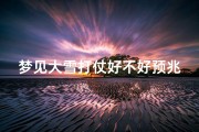 梦见大雪打仗好不好预兆(梦见雪地打仗)