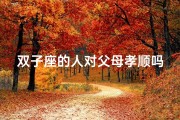 双子座的人对父母孝顺吗(双子座对待亲人)