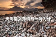 天蝎座女专情专一吗为什么