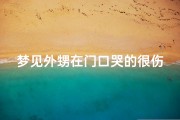 梦见外甥在门口哭的很伤心;梦见外甥女在屋里哭