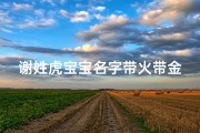谢姓虎宝宝名字带火带金男孩名