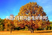 农历2月初几出生好命吗