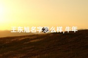 王东旭名字怎么样,牛年宝宝起名王旭东：寓意美好，响亮好听
