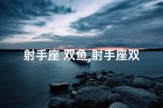 射手座 双鱼,射手座双鱼：爱情长跑，终点在何方？