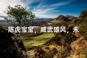 陈虎宝宝，威武雄风，未来之星