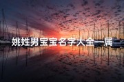 姚姓男宝宝名字大全—属龙男孩姚姓起名大全：吉祥如意好名字