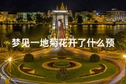 梦见一地菊花开了什么预兆、梦见一地菊花开了什么预兆解梦