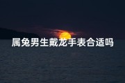 属兔男生戴龙手表合适吗？