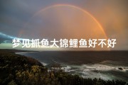 梦见抓鱼大锦鲤鱼好不好,梦见捉锦鲤鱼
