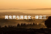 属兔男与属龙女：缘定三生情意浓