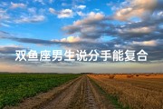 双鱼座男生说分手能复合吗;《双鱼男分手能否复合？揭秘复合可能性》