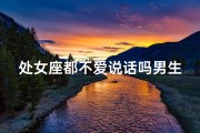 处女座都不爱说话吗男生(处女座男生：沉默背后的秘密)