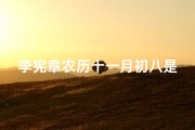 李宪章农历十一月初八是吉日吗视频、李宪章农历十一月初八：吉日之谜揭晓
