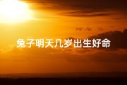 兔子明天几岁出生好命