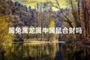 属兔属龙属牛属鼠合财吗-属兔属龙属牛属鼠合财之道：财富共赢秘籍