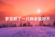 梦见抓了一只病老鼠好不好(做梦抓了一只老鼠)