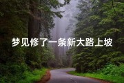 梦见修了一条新大路上坡了;梦见新修了一个上坡路
