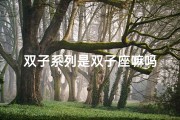 双子系列是双子座嘛吗