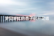 梦见好红的杏子树开花结果—梦见杏树开了好多花